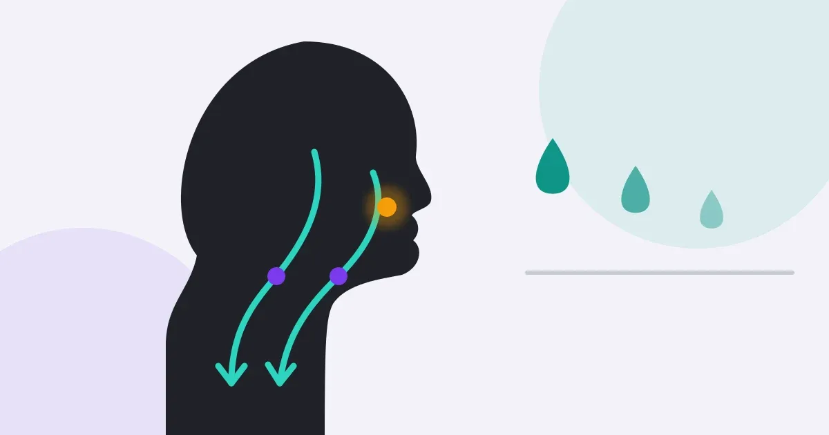 Silueta de perfil de una cabeza y cuello con flechas suaves que descienden desde la mejilla hasta la clavícula, en los colores de MuscleCode